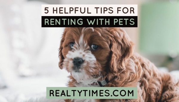 Renting With Pets