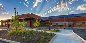 How To Choose Commercial Solar Panels: Installation And Maintenance Considerations