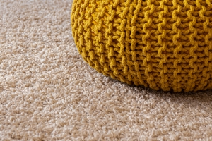 Carpet Cleaning Benefits
