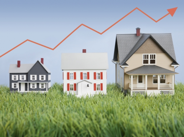 Real estate analysis