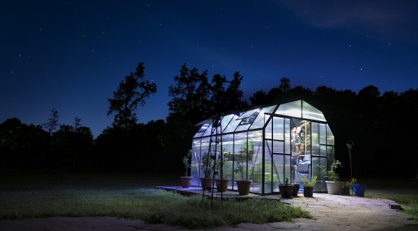 6 Ways Building A Greenhouse Increases Your Home’s Value