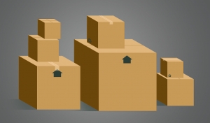 4 Reasons to Hire Professional Movers for Your Next Move