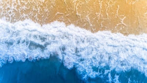 Paul Kaulesar Focuses on The Palm Beach Real Estate Market