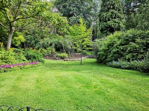 Tips For Maintaining Green Trees and Shrubs This Summer