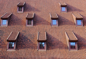6 Things to Consider When it Comes to Roof Replacement Costs