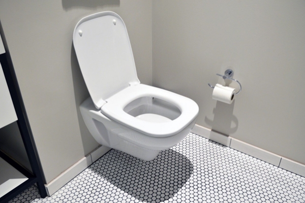 Buying the Perfect Toilet in 2021: Hints and Ideas