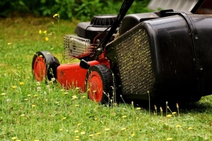 Why Lawn Maintenance Matters for Real Estate Property Value