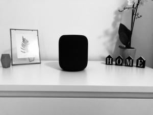 All You Need to Know about Bluetooth Speakers