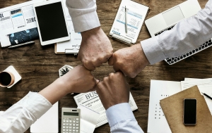 Roles in Workflows for Teams