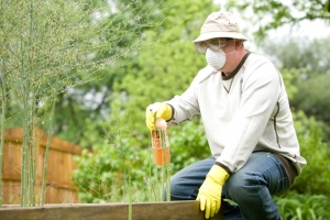 Realty Check: Integrating Pest Control in Property Management