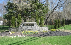 Mills Pond Estates