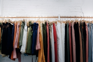 Can Termites Spread Through Clothes?