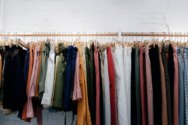 Can Termites Spread Through Clothes?