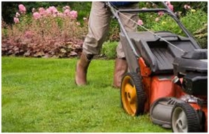 Common mistakes people do during landscaping
