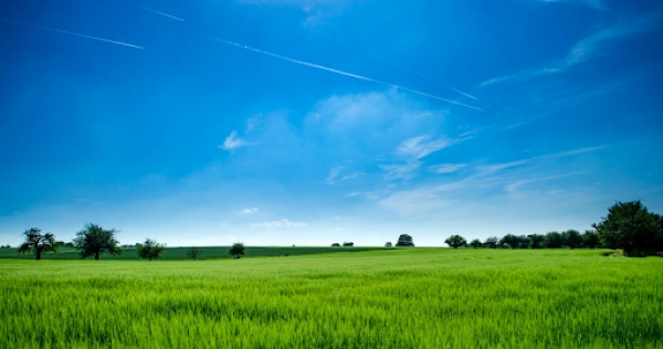 5 Options for Selling Your Land in Kansas, Missouri