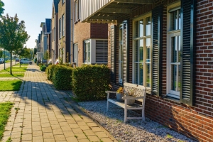 How to Navigate the Rental Maze: A Student's Unique Guide to Housing