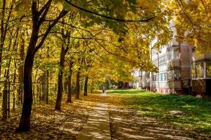 How to Evaluate a Neighborhood When House Shopping