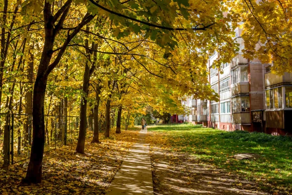 How to Evaluate a Neighborhood When House Shopping