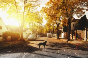 4 Ways to Research a Neighborhood Before Moving There