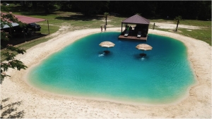 Skip the Pool and Turn Your Backyard Into an Oasis With a Beach-Style Pond