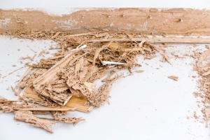 9 Tips to Get Rid of Termites From Your Home