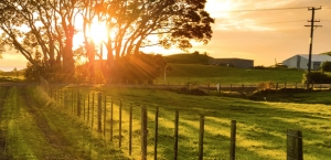 Tips for Purchasing Realestate Outside of the Country