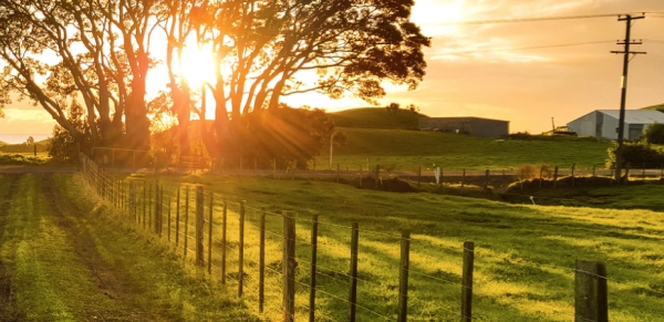 Tips for Purchasing Realestate Outside of the Country