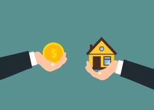How Expert Listing Services Streamline Selling Your Modern Small Home