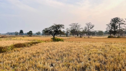 Selling Land Isn’t Like Selling a House: Here’s Why You Need a Professional on Your Side