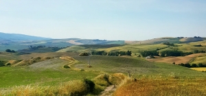 Where Land Value Will Increase
