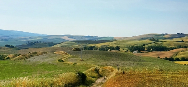 Where Land Value Will Increase
