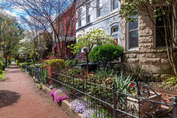 Why D.C. Families Are Fleeing to Find Space and Affordability