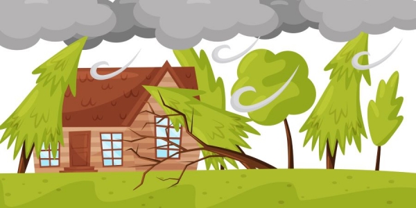 Restoration and Insurance Claims: The Most Common Types of Home Damage and Prevention Techniques