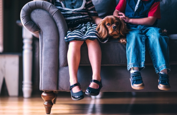 Don’t Sit On The Problem! Top Bed Bug Prevention Tips For Your Sofa
