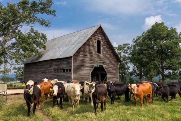 Smart Property Add-Ons That Don’t Break the Bank