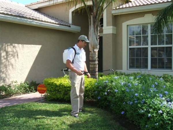 Tips for Eco-Friendly Pest Control for Your House