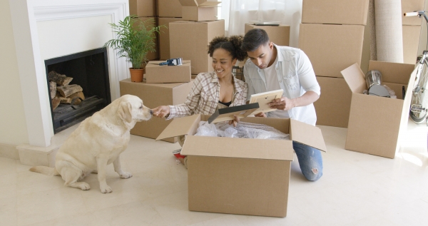 Purrfect Tips for Moving With Pets Long Distance