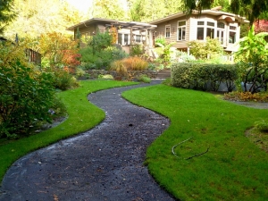 Handy Finds Ways to Keep Your Grass Pest Free