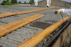 Asbestos Surveys