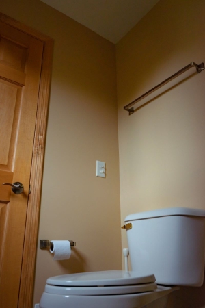 The 5 Best Upflush Toilet Systems for Your Property