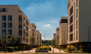 Why Effective Landscape Design Matters in Urban Real Estate