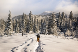 5 Questions to Ask Yourself Before Buying a Ski Property
