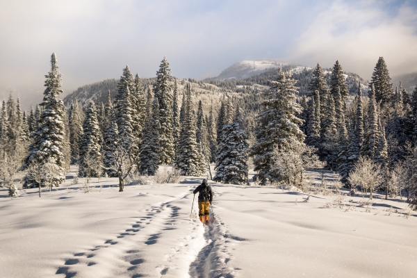 5 Questions to Ask Yourself Before Buying a Ski Property