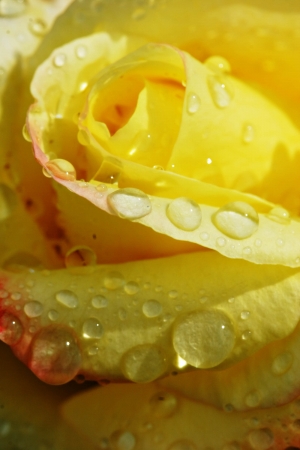 Decorating Your New Home With Inspiration From Nature's Colours &amp; Textures