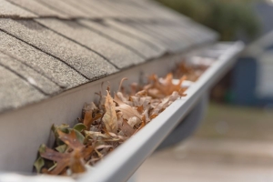 How Gutter Unclogging Saves You from Costly Water Damage
