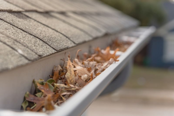 How Gutter Unclogging Saves You from Costly Water Damage