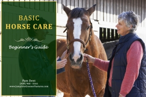 Beginner’s Guide to Basic Horse Care