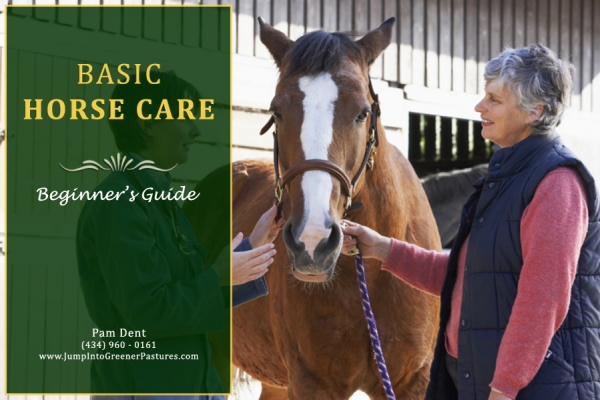 Beginner’s Guide to Basic Horse Care