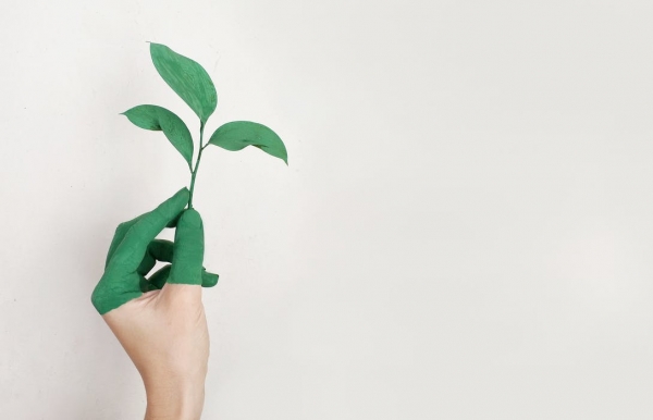 Going Green Is About More Than Just Making Your Home Eco-Friendly