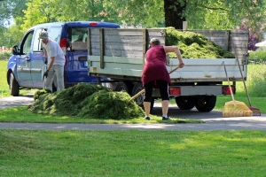 Reasons to Invest in Professional Landscaping